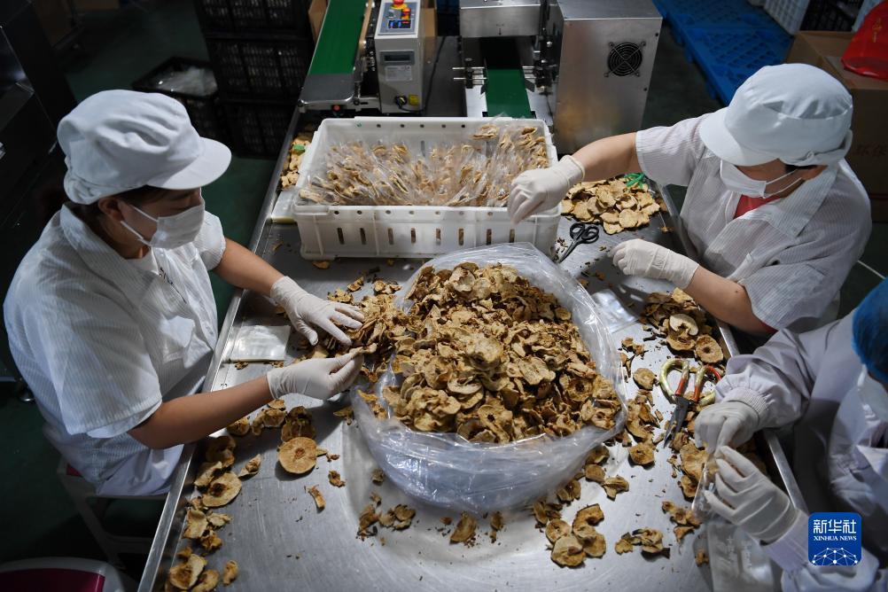 十大电子娱乐网站